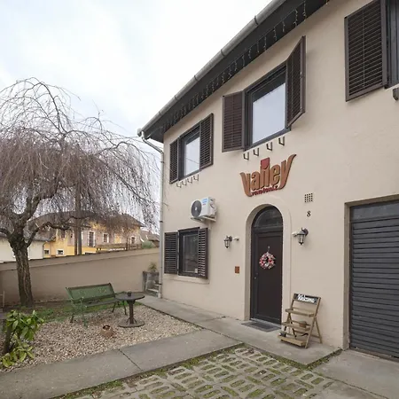 Valley Vendeghaz Guest house